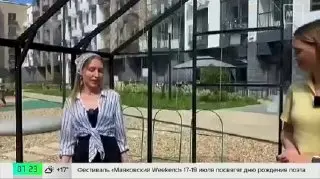 Соседи в Подмосковье создали общую теплицу во дворе ЖК