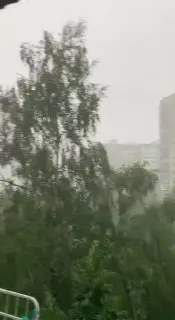 Сильный дождь и ветер до 15 м/с ожидаются в Подмосковье