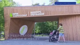 Ольгинский лесопарк: 71 га нового благоустроенного пространства в Балашихе