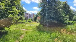 На Лесном бульваре в Протвино обновили зелёную зону