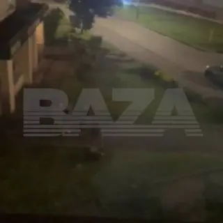 В Долгопрудном девушка пострадала после нападения нетрезвой компании