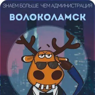 Трагический пожар в Волоколамске: два человека погибли