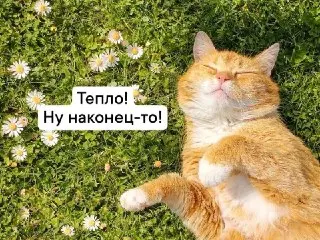 Москву ждет жара до +27° в пятницу: прогноз синоптиков