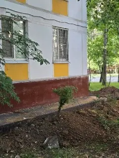 Панферова, 18: масштабное благоустройство завершится к концу лета