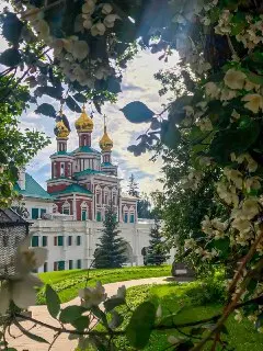 Новодевичий монастырь в Москве расцвел: фото