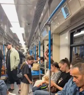Котёнок из метро покорил пассажиров и нашёл новый дом