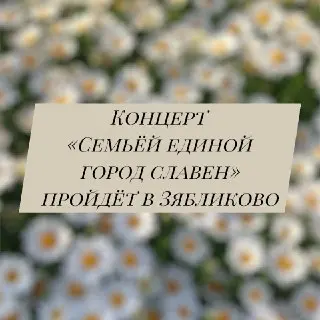 Бесплатный концерт ко Дню семьи в Яблокове: награждение пар