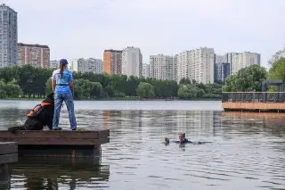 Собаки-спасатели МЧС показали навыки в парке Бутово