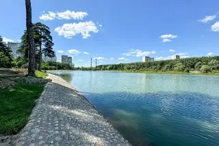 Зеленоград: Купание запрещено из-за опасных бактерий в воде