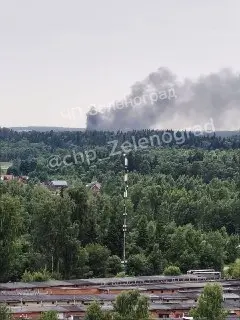 Масштабный пожар в районе Менделеево и Никольского вызывает тревогу