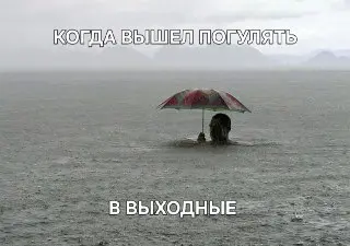 Метеорологи прогнозируют сильные ливни и затопления в эти выходные