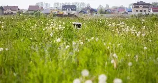 Солнечногорск стал лидером по выдаче земли многодетным семьям