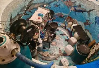 В Дедовске ликвидирована крупная нарколаборатория: задержаны двое
