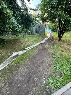 Обсуждение благоустройства народных троп в парке Ясенево