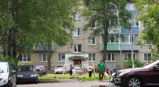 Деревья во дворе на ул. Клары Цеткин подлежат вырубке