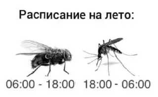 В Москве ожидается «комариная буря» в конце июля