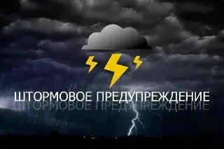 Сильный ливень и гроза ожидаются в Жуковке 10-11 июля