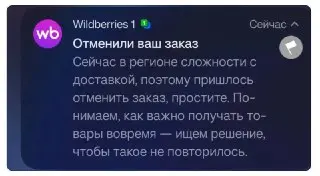 Wildberries Отменяет Заказы: Проблемы с Доставкой Из-за Топливного Кризиса