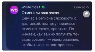 Wildberries Отменяет Заказы: Проблемы с Доставкой и Топливом