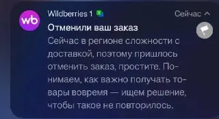 Wildberries Начал Массовую Отмену Заказов: Причины и Последствия