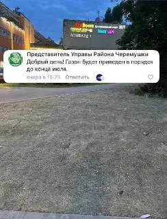Восстановление газона у кинотеатра «Панорама» завершится в июле
