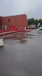 Жители Заречья возмущены голубиным помётом в центре посёлка