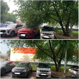 Опасная ветка над парковкой убрана: безопасность автомобилей обеспечена