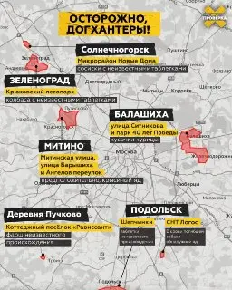 В Истре предупреждают о возможных догхантерах: будьте внимательны!