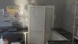 Десятки человек отравились роллами в Подмосковье: возбуждено дело