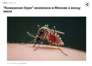 В Москве ожидается «комариная буря» в конце июля