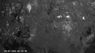 Пьяный дебошир на самокате повредил автомобиль в Москве