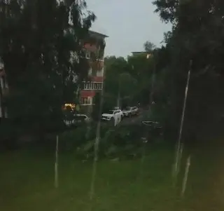 Поваленные деревья и поврежденные машины: последствия урагана