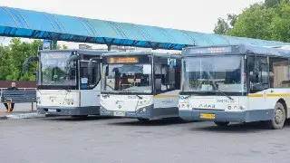 Солнечногорск возобновляет контроль за общественным транспортом
