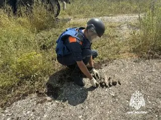 В Крыму уничтожили 14 боеприпасов времён Великой Отечественной войны