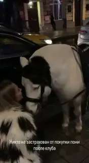 Москвичка Спасает Пони от Платных Катаний у Ночного Клуба