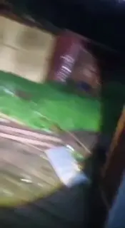 Ураган Разрушил Приют для Животных в Шаховском Районе