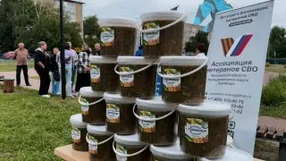Рекордное варенье из огурцов доставлено на фронт