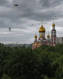 Комары вернутся в Московский регион: ожидается ‘буря’ в конце июля