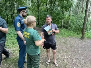 145 нарушений лесного законодательства: итоги полугодия