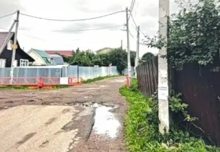 В СНТ «Свердловчанка» успешно отловили бездомных собак