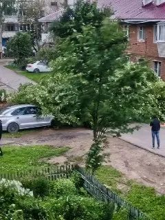 Шторм в Никольском: ветер повредил кровли и провода