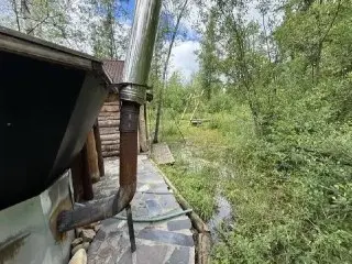 Клинский суд рассмотрит иск о восстановлении лесного фонда
