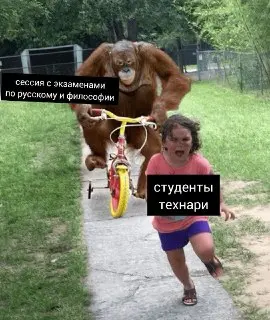 Новые обязательные предметы для студентов: история, философия и русский язык