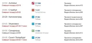 Шторм в Москве: Задержка около 50 рейсов в аэропортах