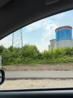 Опасный борщевик замечен рядом с ГИБДД: что делать?