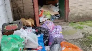 Жители Химок требуют смены управляющей компании из-за антисанитарии
