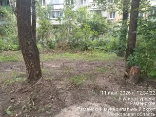 Проблемы с деревьями и газоном после ремонта троп в Раменском