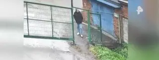 Суд приговорил убийцу собаки к двум годам колонии-поселения