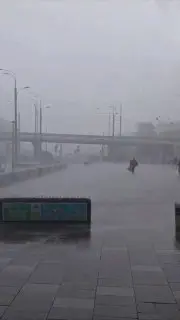 Сильные дожди и грозы: МЧС предупреждает москвичей