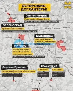 Догхантеры угрожают питомцам: жители Подмосковья в тревоге